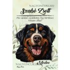 Személyre szabható - Berni pásztor portré mintás füzet