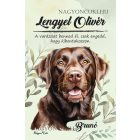 Személyre szabható - Barna labrador portré mintás füzet