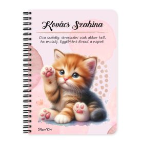   Személyre szabható - Cuki tapis vörös cicus mintás füzet