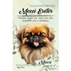 Személyre szabható - Barna pekingi palotakutya portré mintás A6-os füzet