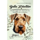 Személyre szabható - Welsh terrier portré mintás füzet