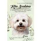 Személyre szabható - Máltai selyemkutya portré mintás A6-os füzet