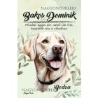 Személyre szabható - Fehér labrador portré mintás A6-os füzet