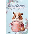 Személyre szabható - Kakaós tengerimalac mintás A6-os füzet