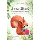 Személyre szabható - Cuki mókus ajándékkal mintás A6-os füzet