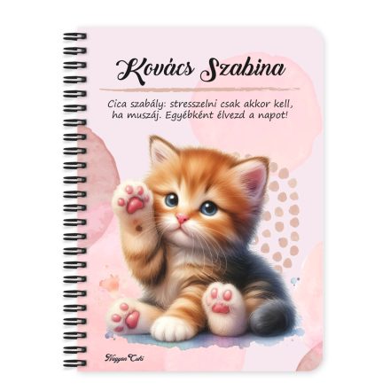 Személyre szabható - Cuki tapis vörös cicus mintás A6-os füzet