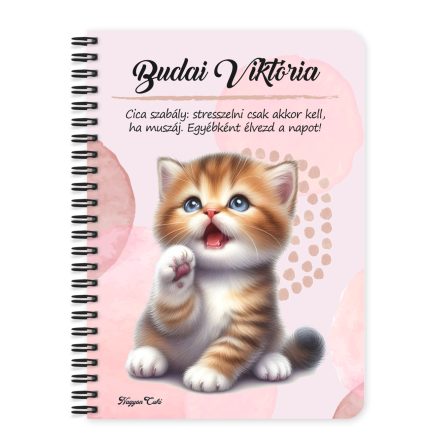 Személyre szabható - Pacsis vörös cicus mintás A6-os füzet