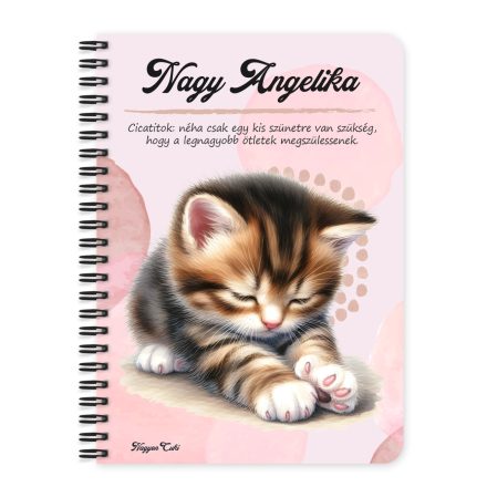 Személyre szabható - Pacsis vörös cicus mintás A6-os füzet