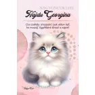 Személyre szabható - Hógolyó cuki cica mintás A6-os füzet