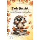 Személyre szabható - Cuki őszi szemüveges bagoly mintás A6-os füzet