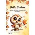 Személyre szabható - Cuki őszi bagoly lány mintás A6-os füzet