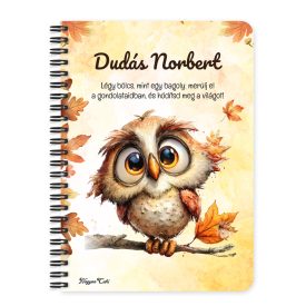   Személyre szabható - Cuki őszi bagoly fiú mintás A6-os füzet
