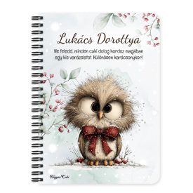   Személyre szabható - Cuki téli bagoly nagy masnival mintás A6-os füzet