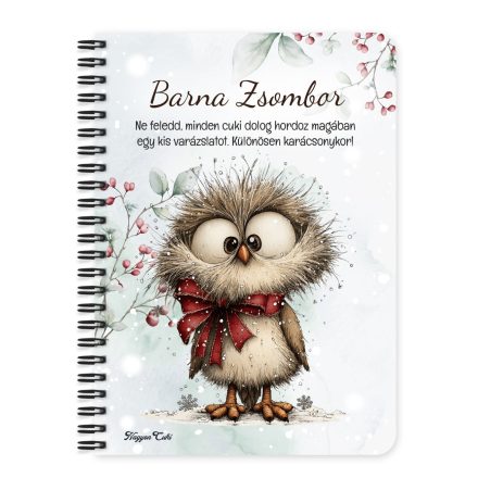 Személyre szabható - Cuki téli bagoly masnival mintás A6-os füzet