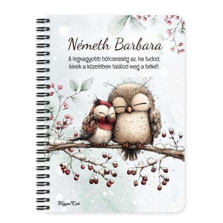 Személyre szabható - Cuki téli baglyocskák mintás A6-os füzet