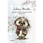 Személyre szabható - Cuki téli bagoly szemüvegben mintás füzet