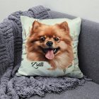 Névvel kérhető - Barna pomerániai törpespicc portré mintás párna