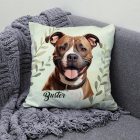Névvel kérhető - Staffordshire terrier portré mintás párna