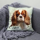 Névvel kérhető - Vörös Cavalier King Charles spániel portré mintás párna