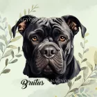 Névvel kérhető - Fekete Cane Corso portré mintás párna
