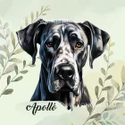 Névvel kérhető - Fekete (dán) német dog portré mintás párna