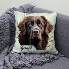 Névvel kérhető - Barna Újfundlandi portré mintás párna