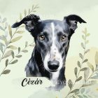 Névvel kérhető - Olasz agár portré mintás párna