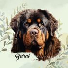 Névvel kérhető - Tibeti masztiff portré mintás párna