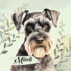 Névvel kérhető - Törpe schnauzer portré mintás párna