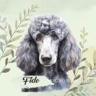 Névvel kérhető - Szürke óriás uszkár portré mintás párna