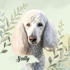 Névvel kérhető - Fehér óriás uszkár portré mintás párna