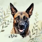 Névvel kérhető - Belga juhászkutya portré mintás párna