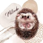 Kérd a neveddel - Cuki süni mintás párna