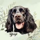 Névvel kérhető - Fekete angol cocker spániel portré mintás párna