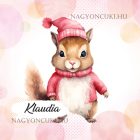 Kérd a neveddel - Pink Mikulás mókus mintás párna