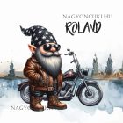 Névvel kérhető - Rád várok - Motoros manó mintás párna