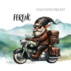 Névvel kérhető - Úton - Motoros manó mintás párna