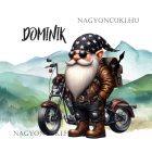 Névvel kérhető - Széles utat - Motoros manó mintás párna