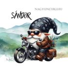 Névvel kérhető - Nem vén - Motoros manó mintás párna