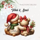 Névvel kérhető - Karácsonyi Teddy maci - együtt (sál) mintás párna