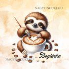 Névvel kérhető - Kávés lajhár és a szíves cappucino mintás párna