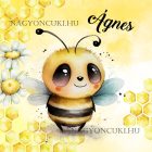 Névvel kérhető - Aranyos méhecske mintás párna