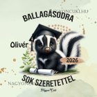 Névvel kérhető Borz mintás párna - 2026 évi Ballagásra