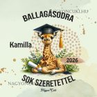 Névvel kérhető Zsiráf mintás párna - 2026 évi Ballagásra