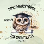 Névvel kérhető Bagoly mintás párna - 2026 évi Ballagásra