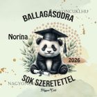 Névvel kérhető Panda mintás párna - 2026 évi Ballagásra