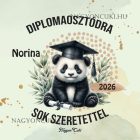Névvel kérhető Panda mintás párna - 2026 évi Ballagásra