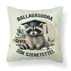 Névvel kérhető Mosómedve mintás párna - 2025 évi Ballagásra