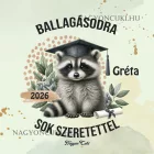 Névvel kérhető Mosómedve mintás párna - 2026 évi Ballagásra