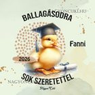 Névvel kérhető Kacsa mintás párna - 2026 évi Ballagásra